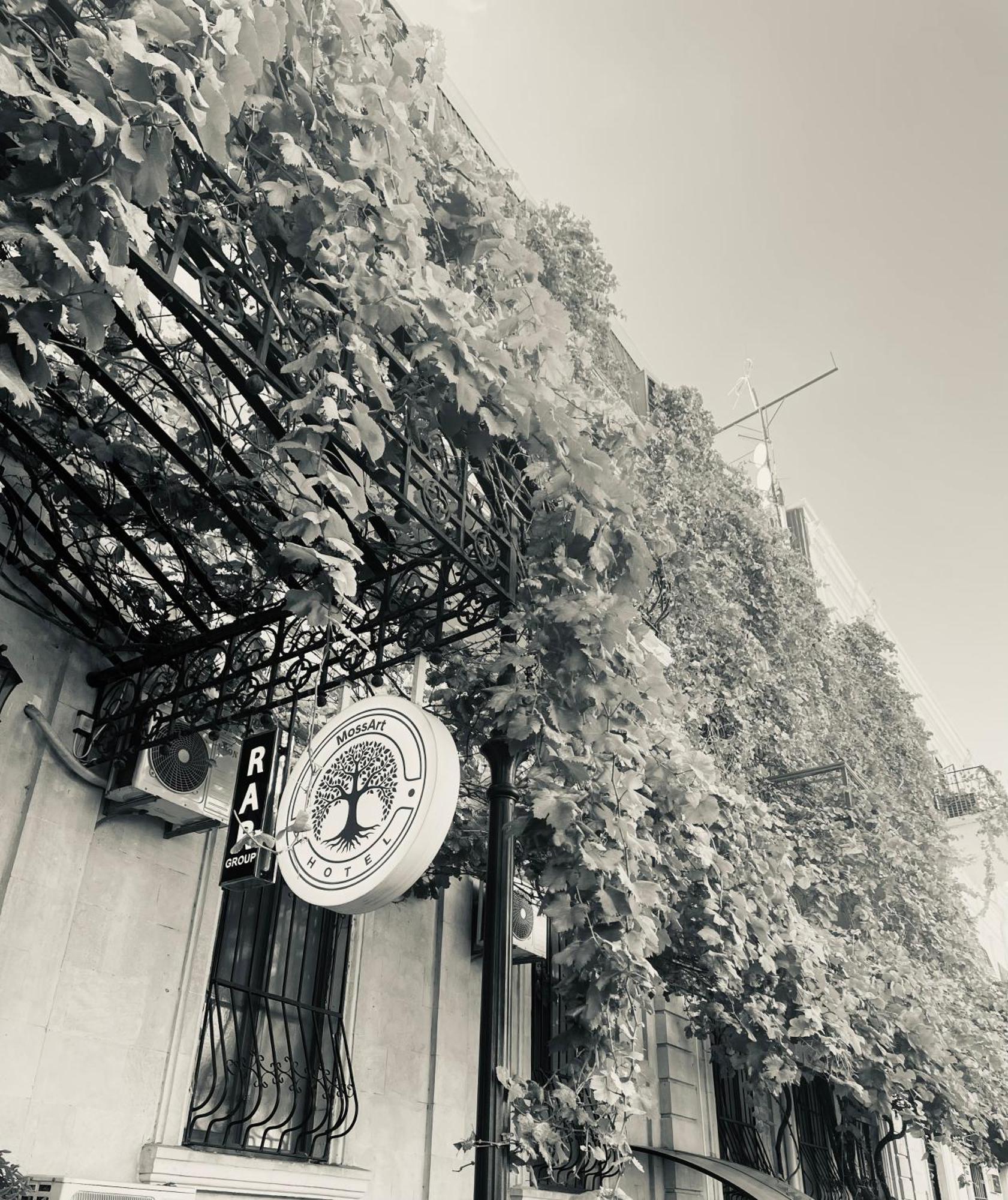 Moss Art Boutique Hotel Баку Экстерьер фото